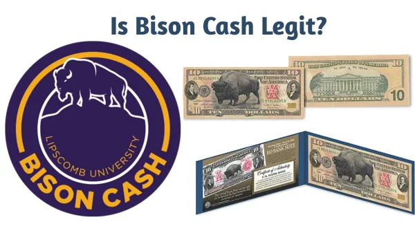 Is Bison Cash Legit