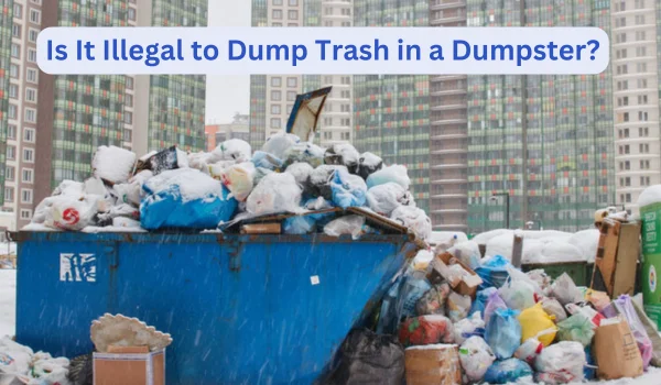 Dump Trash in a Dumpster